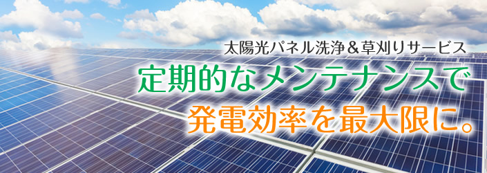 太陽光発電効率を維持するパネル洗浄・草刈りメンテナンスサービス