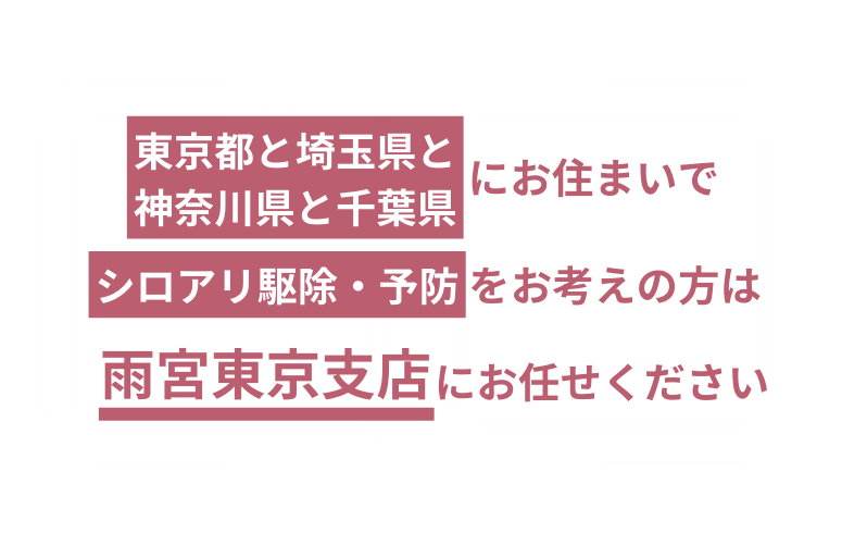 雨宮東京支店